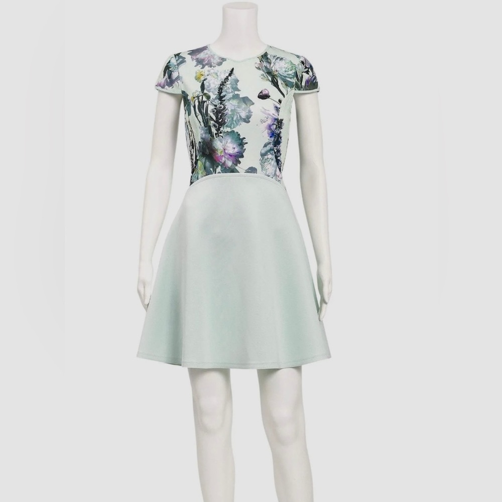 Ted Baker Faythe Torchlit Skater Dress